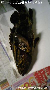 ¥Ù¥Ã¥³¥¦¥¾¥¤