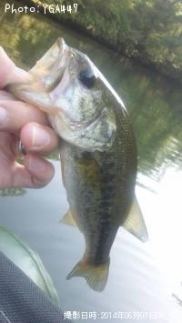 ¥Ö¥é¥Ã¥¯¥Ð¥¹