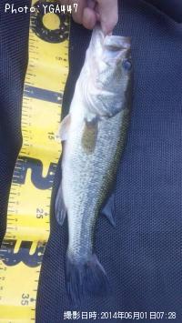 ¥Ö¥é¥Ã¥¯¥Ð¥¹