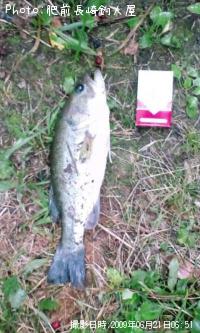 �֥�å��Х�