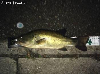 ¥Ö¥é¥Ã¥¯¥Ð¥¹