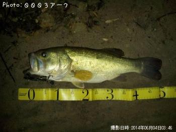 �֥�å��Х�