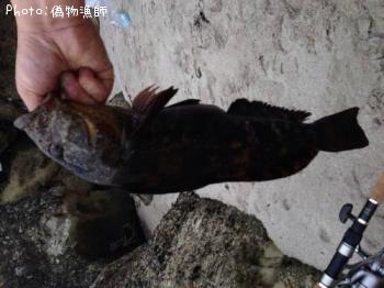 �����ʥ�