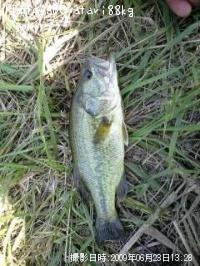 �֥�å��Х�