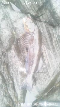 �����ʥ�