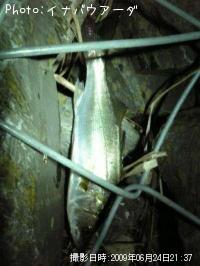 �����Х�