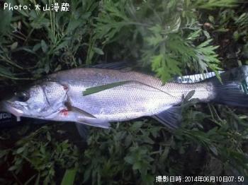 �����Х�