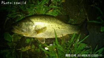 �֥�å��Х�