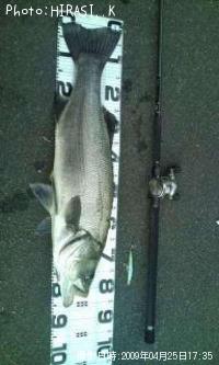 �ҥ饹����