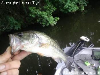 ¥Ö¥é¥Ã¥¯¥Ð¥¹