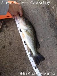 �֥�å��Х�