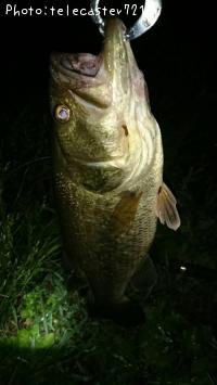 �֥�å��Х�