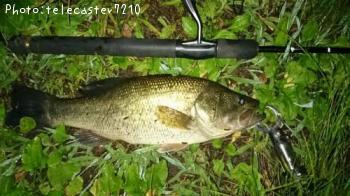 �֥�å��Х�