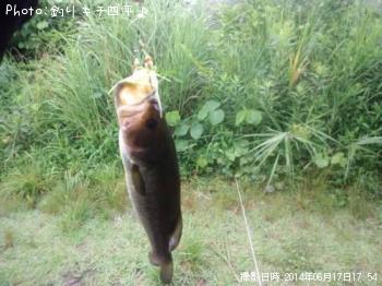 �֥�å��Х�