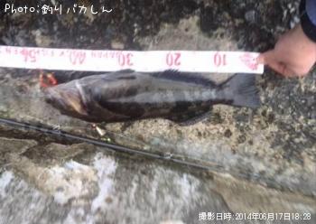 �����ʥ�