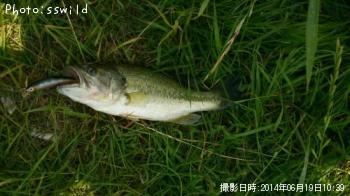 �֥�å��Х�