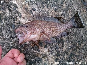 �������ϥ�