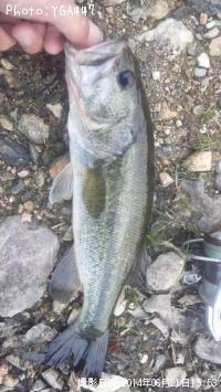 �֥�å��Х�