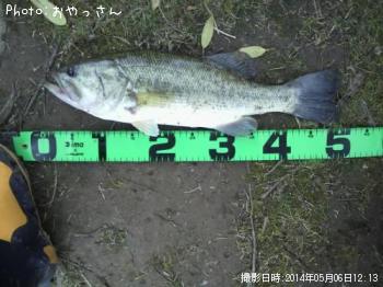 �֥�å��Х�