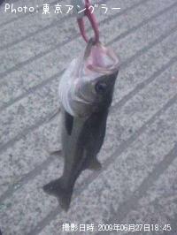 �����Х�