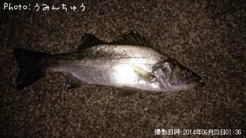 �����Х�