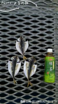 �������ʴ�ʪ��