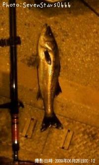 �����Х�