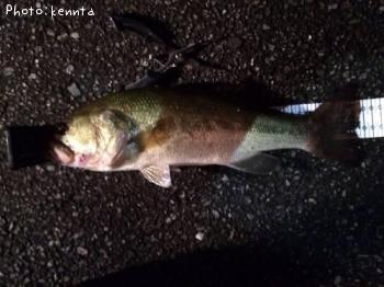 �֥�å��Х�