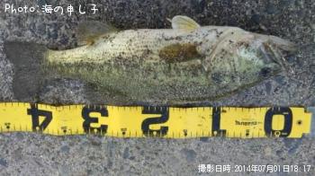 �֥�å��Х�