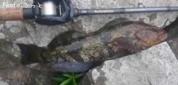 �����ʥ�