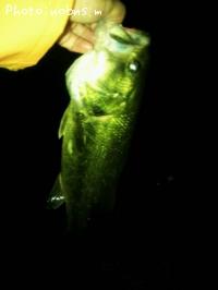 �֥�å��Х�