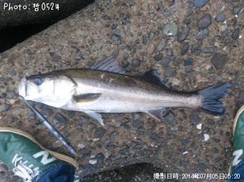 �����Х�