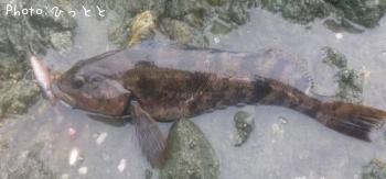 �����ʥ�