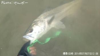 �����Х�