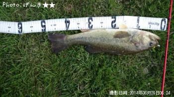 ¥Ö¥é¥Ã¥¯¥Ð¥¹