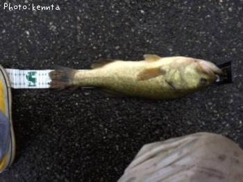 ¥Ö¥é¥Ã¥¯¥Ð¥¹