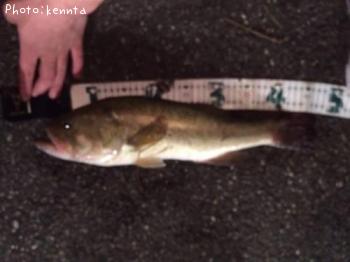 ¥Ö¥é¥Ã¥¯¥Ð¥¹