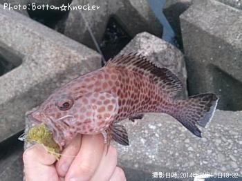 ¥ª¥ª¥â¥ó¥Ï¥¿