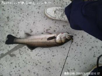 �����Х�