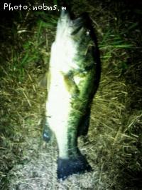 ¥Ö¥é¥Ã¥¯¥Ð¥¹