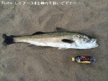 �����Х�