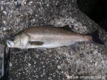 �����Х�