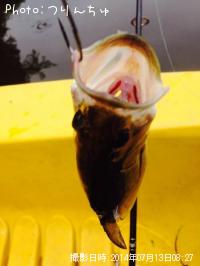 ¥Ö¥é¥Ã¥¯¥Ð¥¹