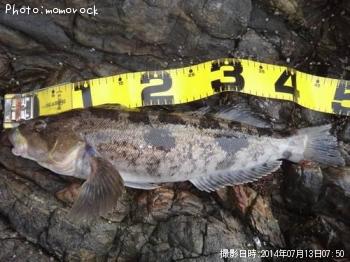 �����ʥ�