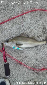 �����Х�