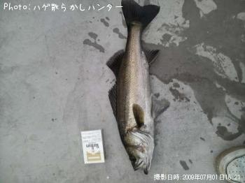 �����Х�