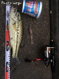 �֥�å��Х�