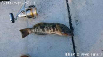 �����ʥ�