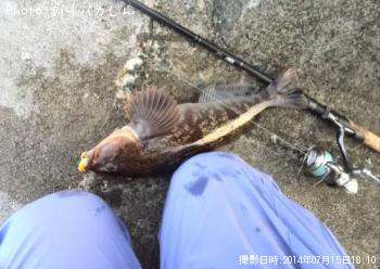 �����ʥ�