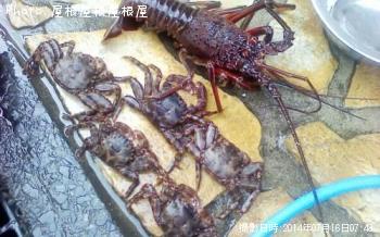 ���ˡ�����